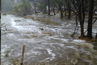 northam-in-flood-feb17