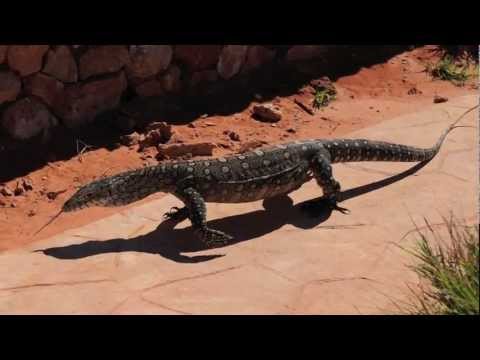 Psalm 148 for Western Australia&nbsp;(revisited)