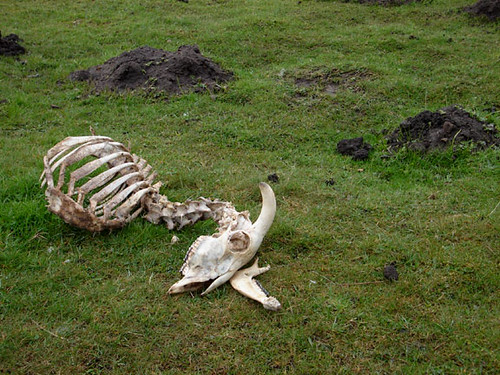 God’s Stubborn Insistence on&nbsp;Life.