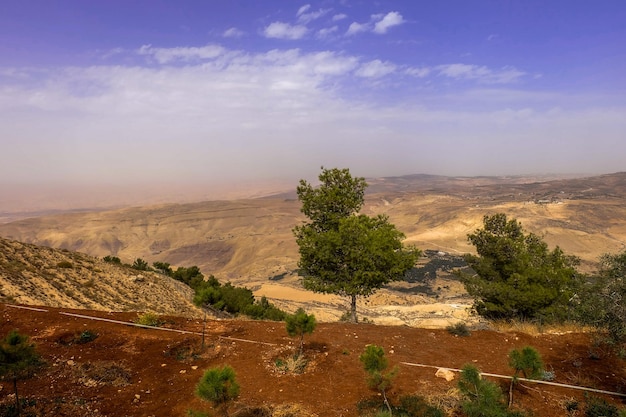 The View from Mount&nbsp;Nebo.
